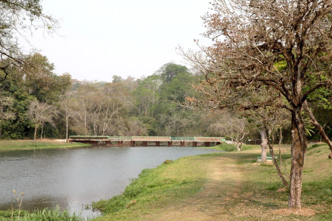 Câmara de Londrina realiza nova audiência pública sobre o Código Ambiental