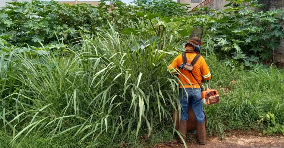 Município dá prazo de 15 dias para limpeza de terrenos particulares com mato alto