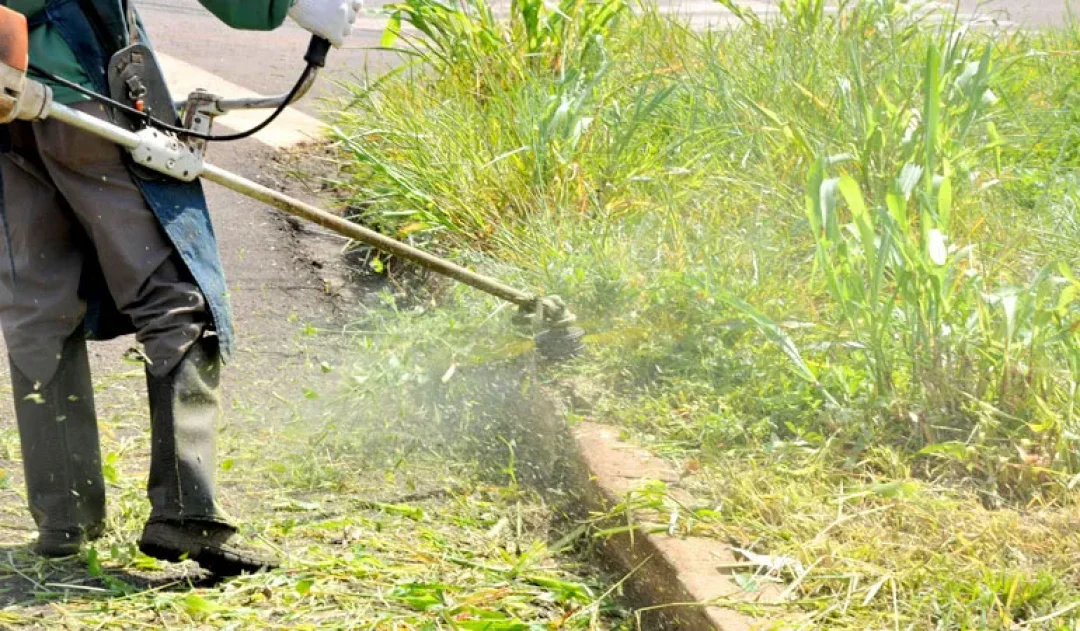 CMTU inicia fiscalização da limpeza de terrenos particulares