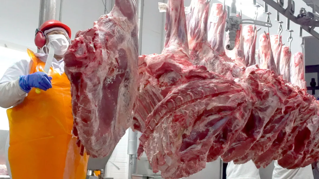 Exportação de carne brasileira navegará entre desafios e oportunidades em 2025