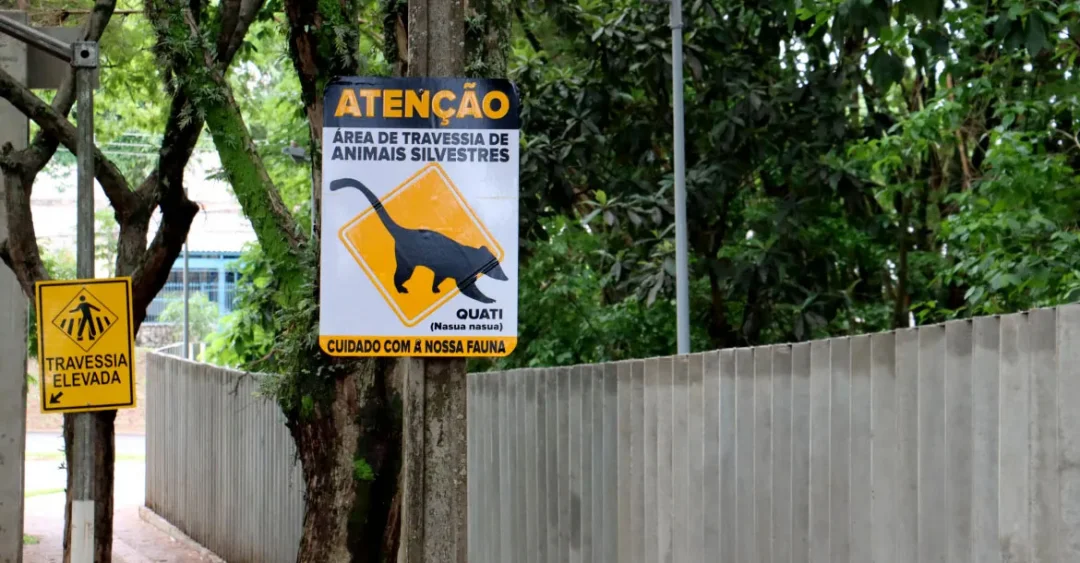 Sema alerta sobre atropelamentos de animais em volta do Parque Arthur Thomas