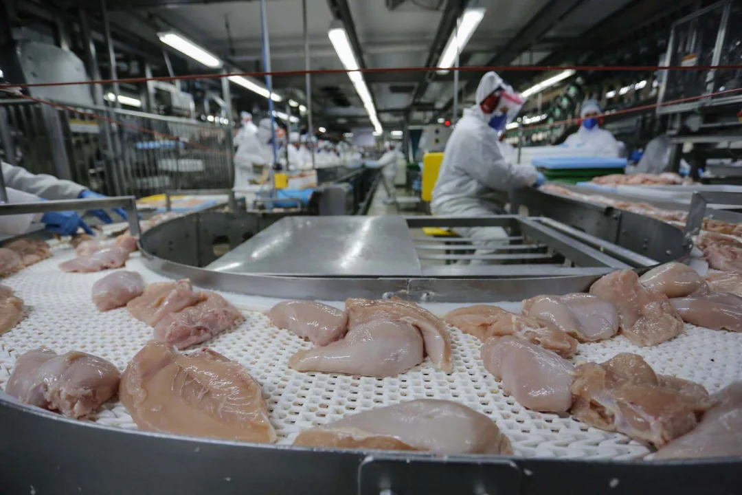 US$ 1,56 bilhão: exportação de carne do Paraná cresce 20,8% nos primeiros meses de 2025