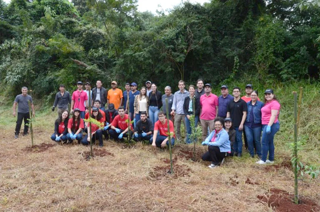 Cambé: Dia Mundial do Meio Ambiente: Prefeitura e Pado promovem plantio de árvores no Jardim São Paulo