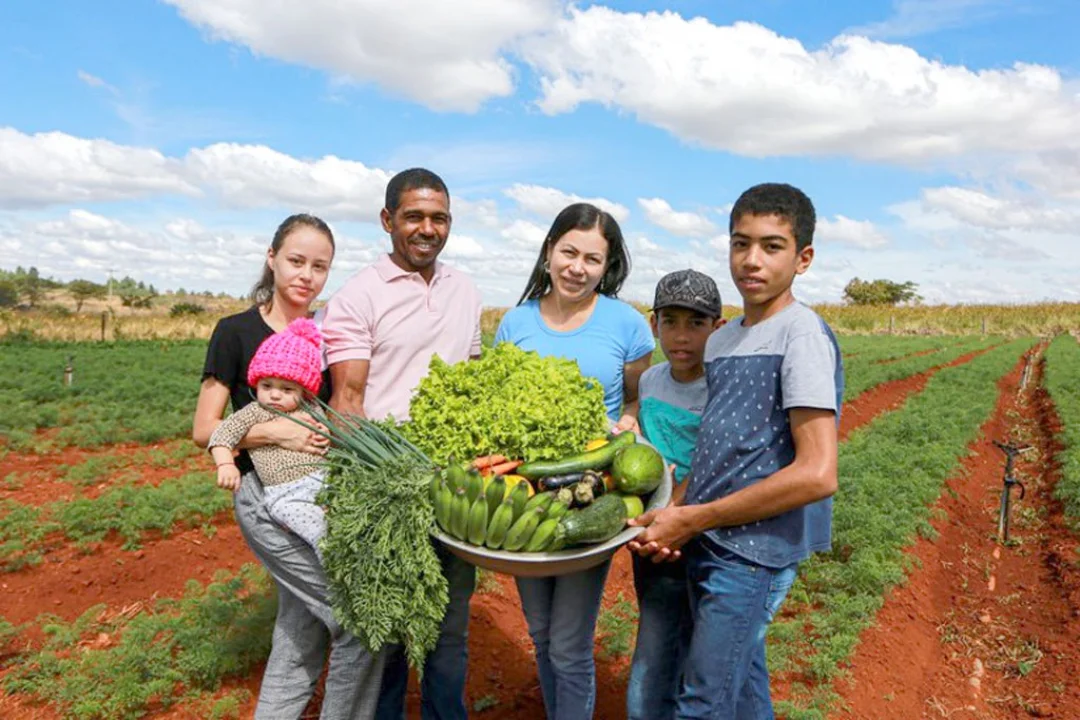 Às vésperas de lançar novo Plano Safra da Agricultura Familiar, Governo Federal comemora resultados da safra 2024-2025