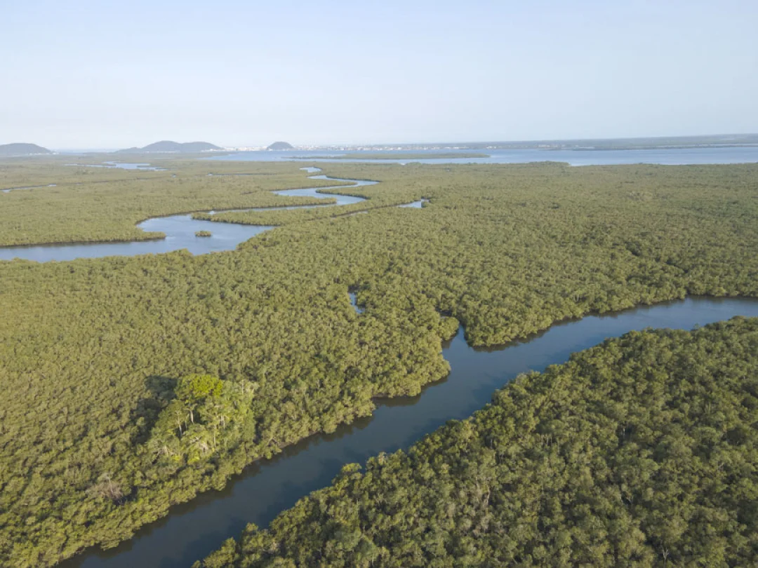 Programa de conservação está investindo mais de R$ 110 milhões na Mata Atlântica e irá contribuir com a proteção do Bioma no Litoral do Paraná