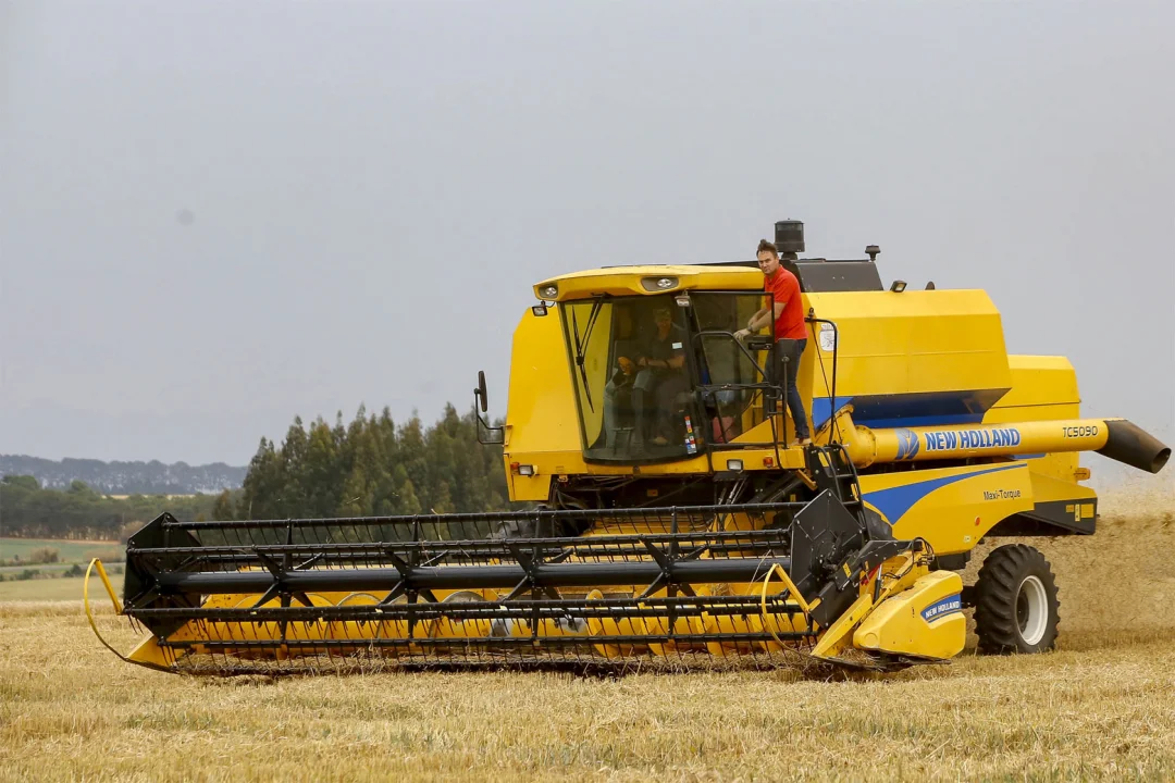 ​​​​​​​Salários da agropecuária do Paraná crescem e superam em 58% a média nacional