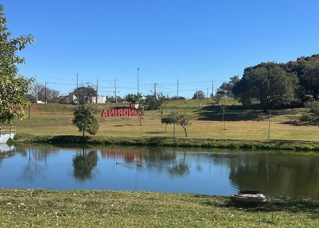 Marista Escola Social Irmão Acácio lidera reflorestamento no Lago Cabrinha em Londrina