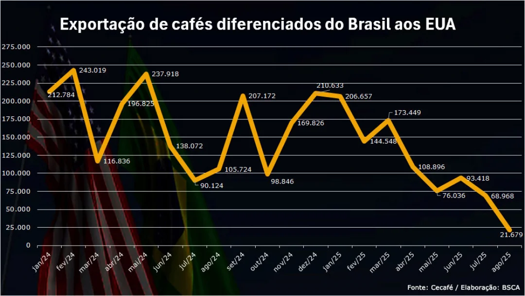 BSCA: exportação de cafés especiais do Brasil aos EUA despenca com tarifaço