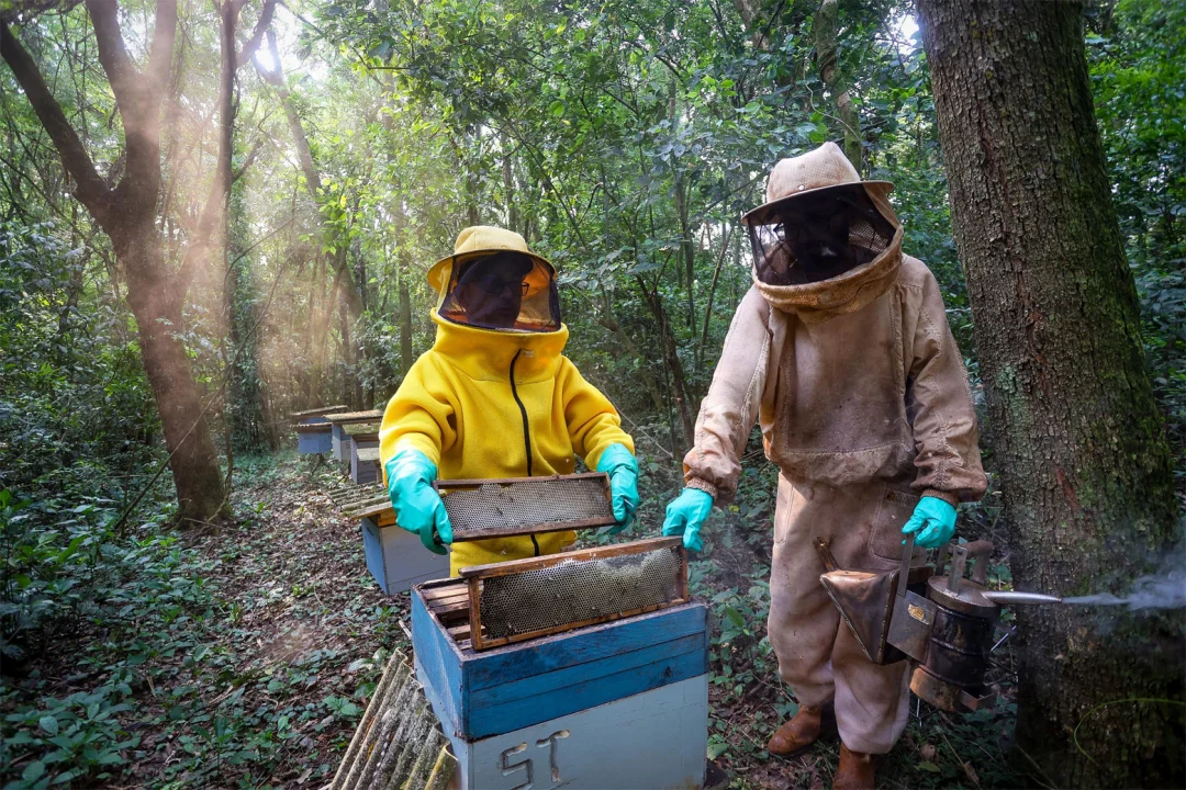 Paraná chega aos melhores resultados da história em atividades da agropecuária