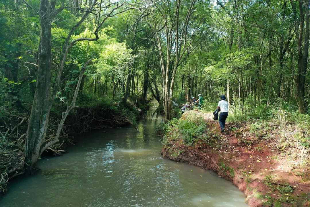 Dia Mundial da Limpeza de Rios: Sanepar atua em várias frentes para garantir preservação
