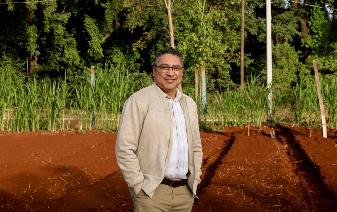 Bandeirantes sedia o 4º Dia de Campo Orgânico do Norte Pioneiro do Paraná