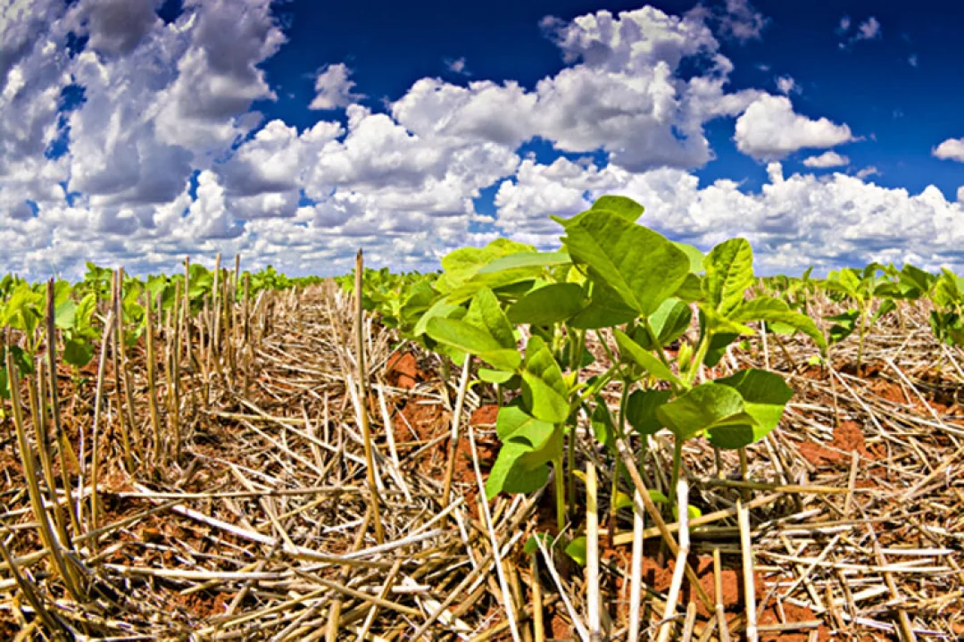 Começa amanhã Congresso Paranaense de Agricultura de Baixa Emissão de Carbono
