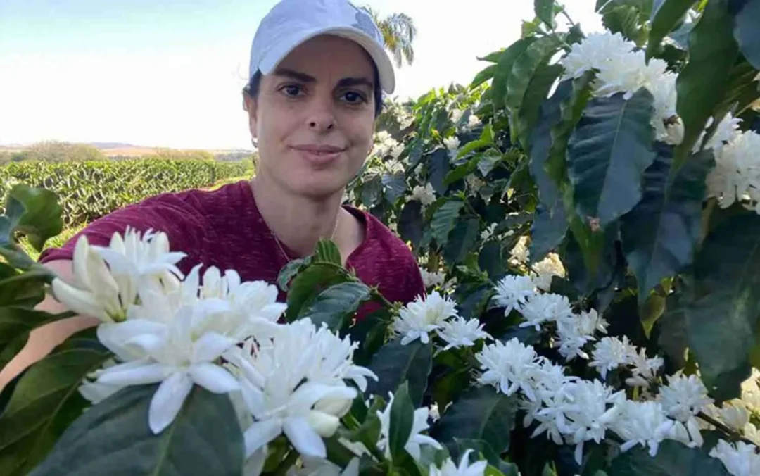 Norte Pioneiro está na final do Prêmio Coffee of the Year 2025