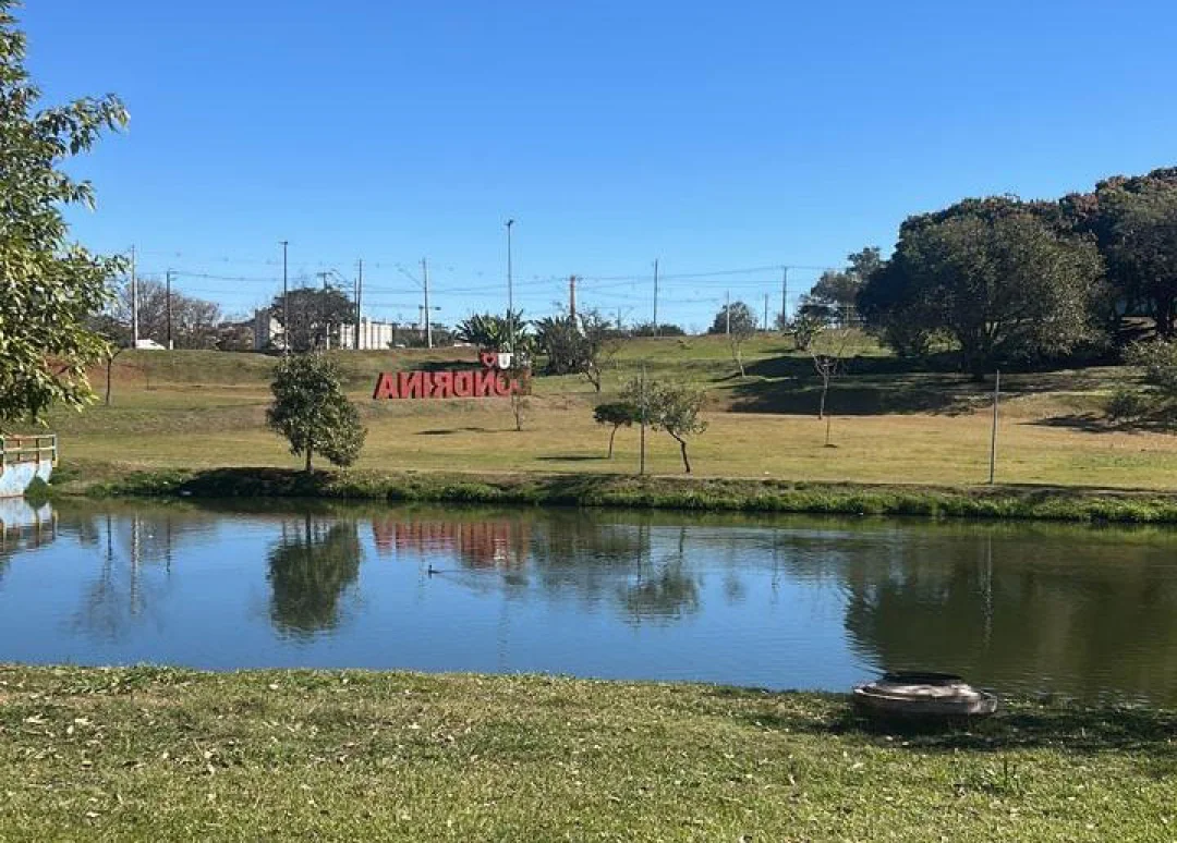 Estudantes de Londrina apresentam projeto de reflorestamento do Lago Cabrinha em Belém-PA durante a COP30