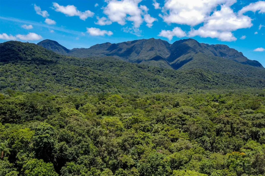 Patrimônio Mundial do Paraná, Grande Reserva Mata Atlântica é premiada no “Oscar do Turismo”
