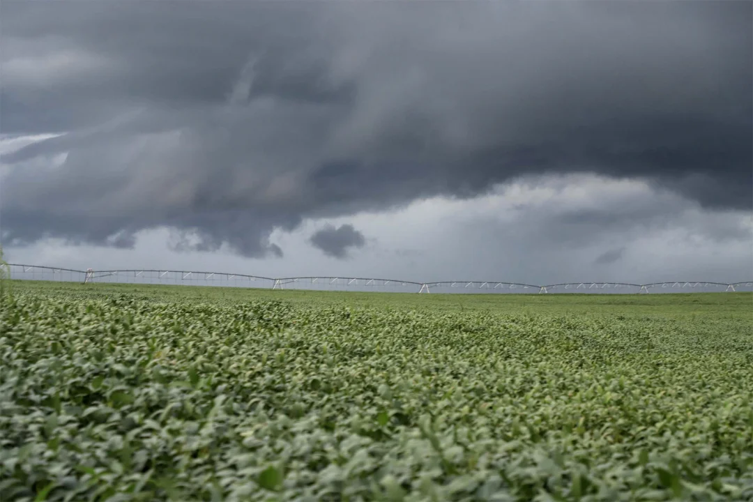 Janeiro terá muita chuva e calor dentro da média, afirma Simepar