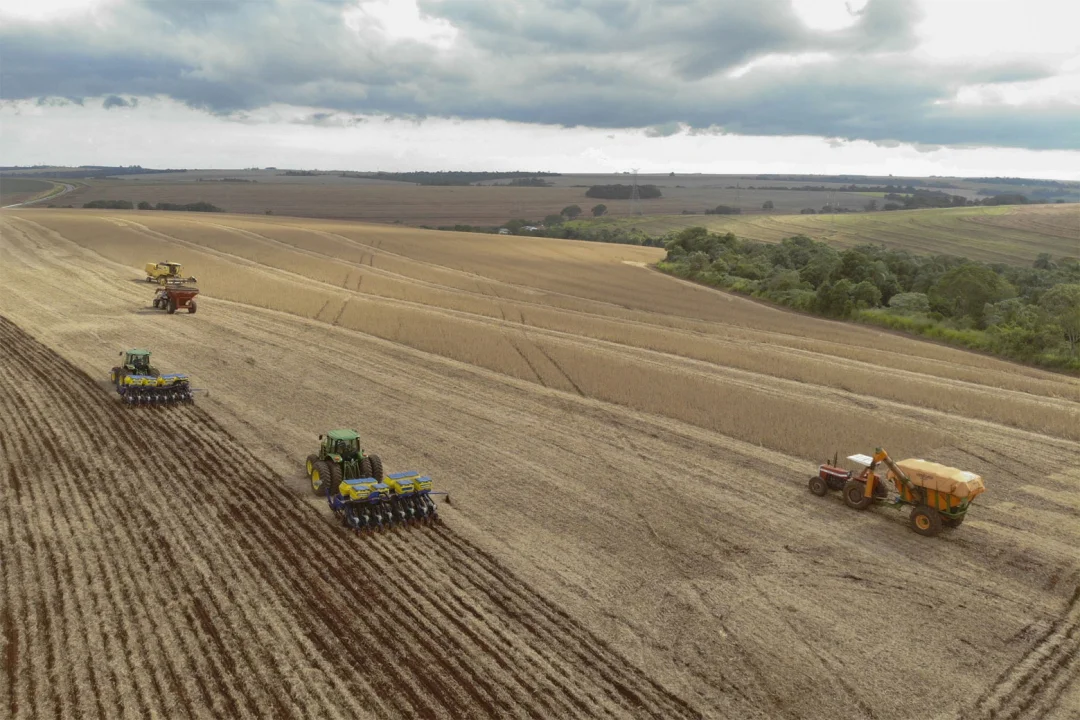 Paraná fecha 2025 com 13,5% de participação na safra nacional de grãos; produção vai aumentar