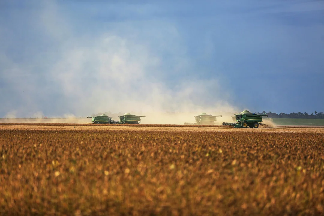 Safra de soja 2025/26 deve alcançar novo recorde no Brasil