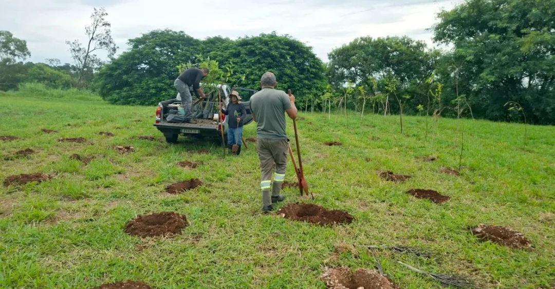 Secretaria do Ambiente planta 500 de árvores no Jardim Parigot de Souza, região norte