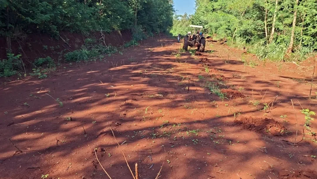 Sema inicia plantio de mil árvores em área da Cidade Industrial na região norte