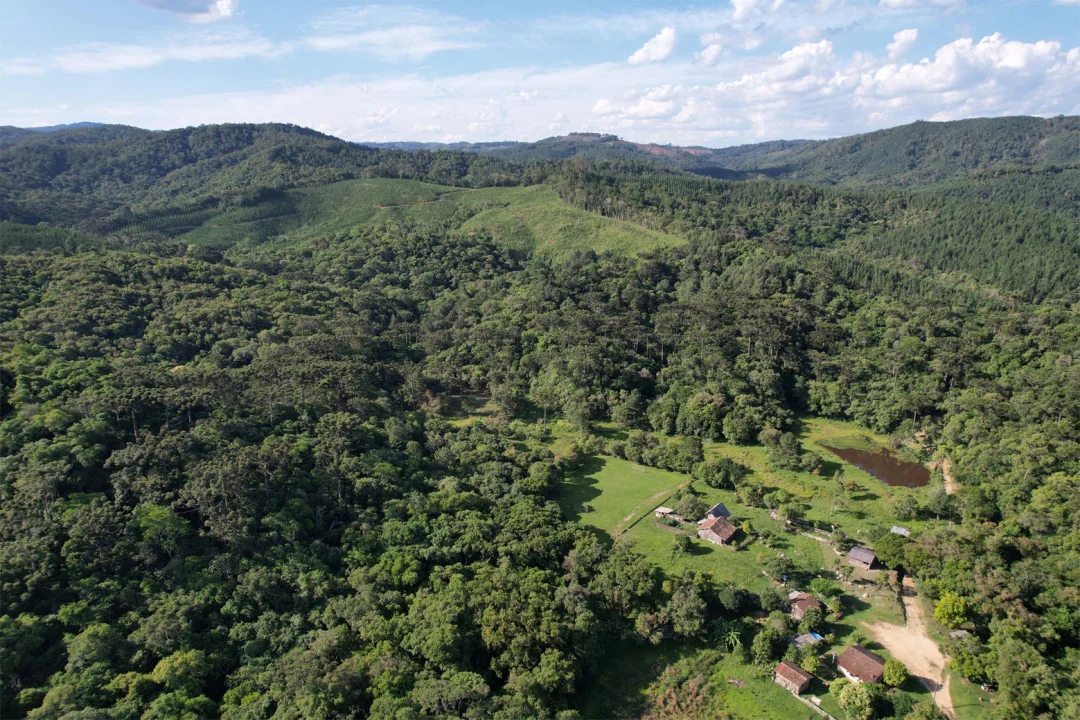 Paraná vai ganhar uma Londrina de área protegida com novas UCs em estudo pelo IAT