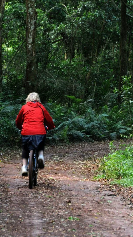 Paraná está entre os estados com maior extensão de áreas protegidas, mas gestão ainda é desafio
