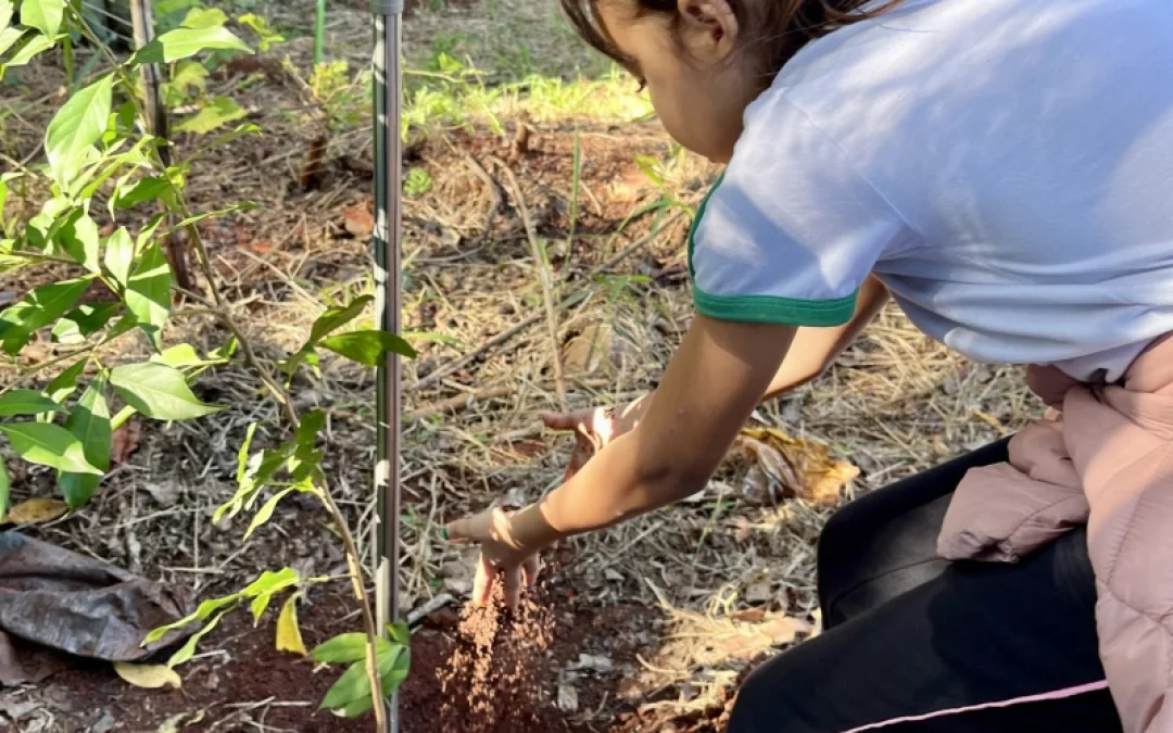 Alunos da rede municipal de ensino plantam mudas nativas