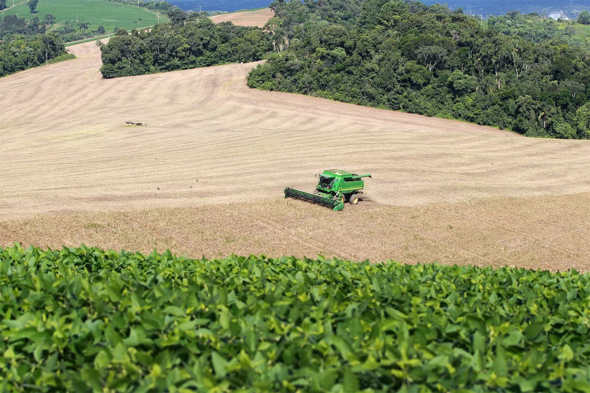 VBP da agropecuária do Paraná mais que dobra e chega a R$ 212,6 bilhões em 2025