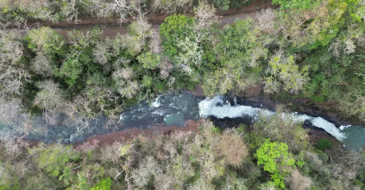Londrina lança edital de R$ 1,5 milhão para financiar projetos ambientais de entidades