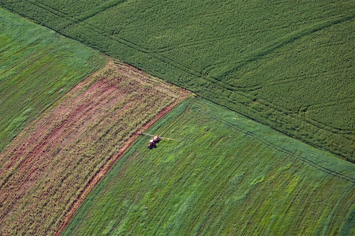 Agronegócio do Paraná movimenta R$ 212,6 bilhões em 2025 e registra crescimento de 13%