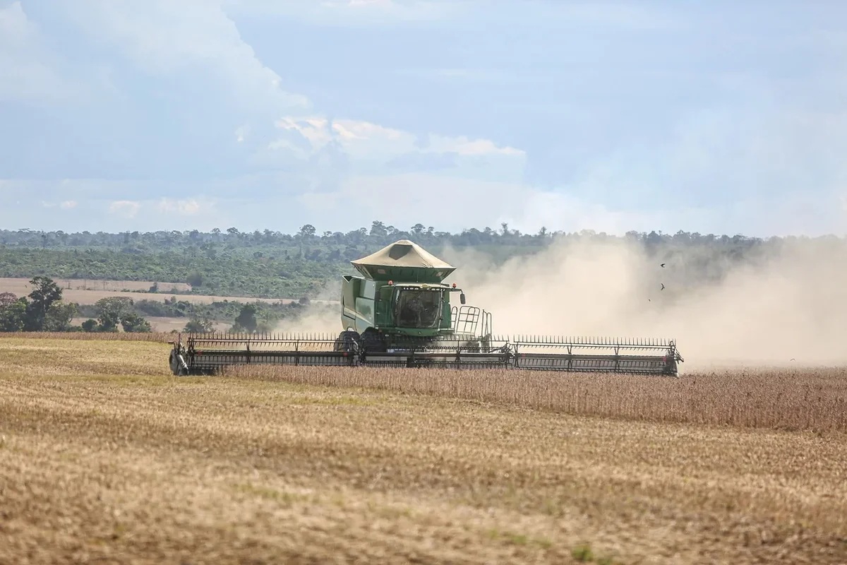 Possível “Super El Niño” aumenta alerta de produtores para a safra 2026/2027