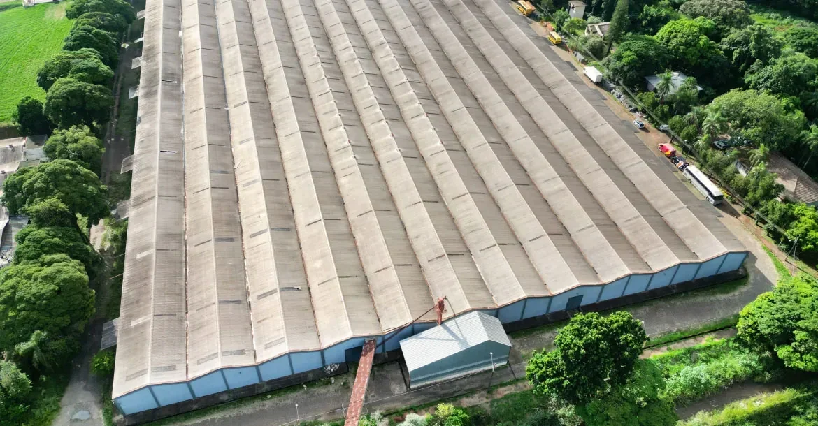 Prefeitura de Londrina coloca 47 lotes em leilão online com veículos, máquinas e sucatas